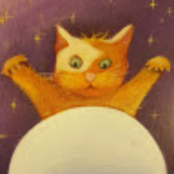 Meet your Posher, Allison - Picture 1 of 1